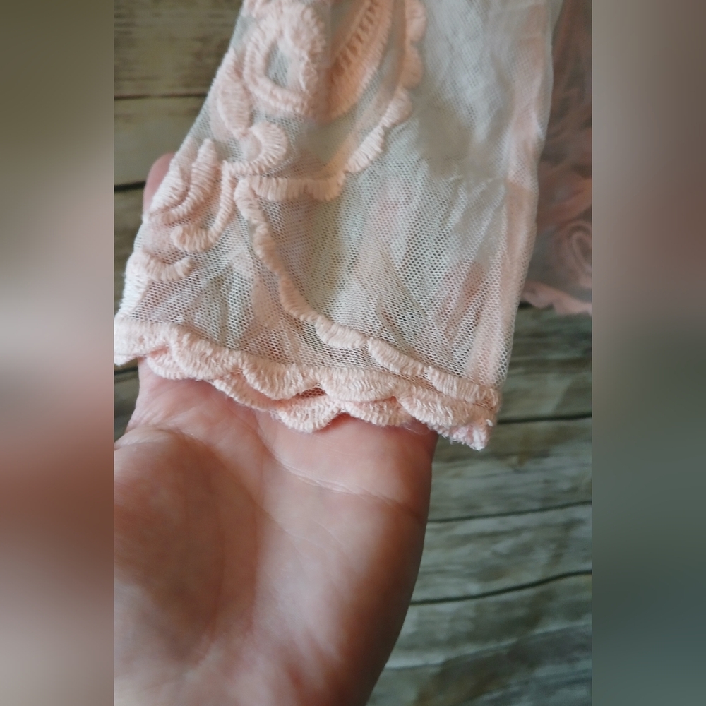 Express Pink Lace Long Sleeve Blush Pink Women Top, Sheer - Picture 6 of 14